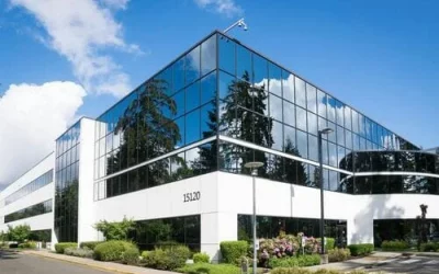 les entreprises ont-elles besoin d’un site web ?